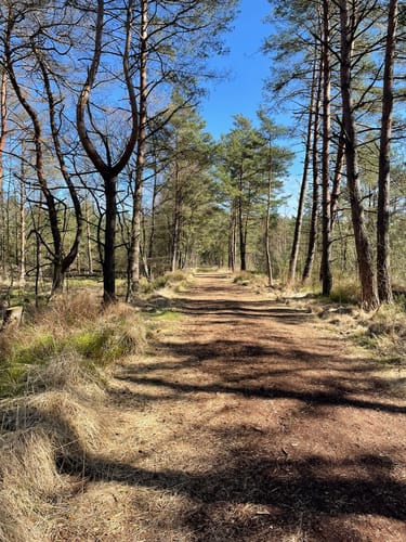 Nordpfad 'Dör't Moor'
