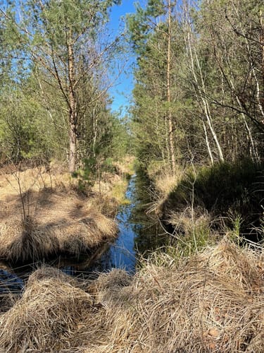 Nordpfad 'Dör't Moor'