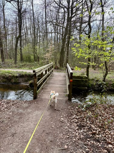 Zwei-Seen-Runde (Premiumwanderweg)