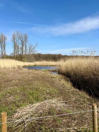 Zwei-Seen-Runde (Premiumwanderweg)