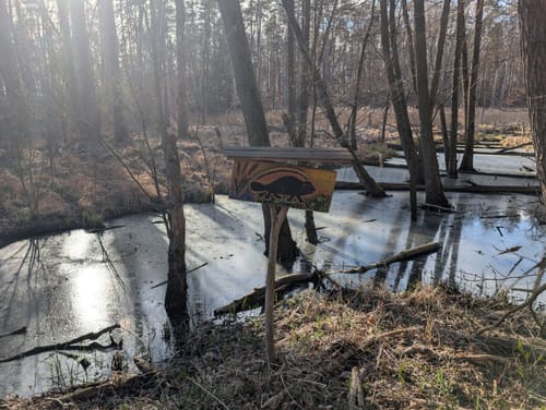 Rundweg Großer Heiliger See