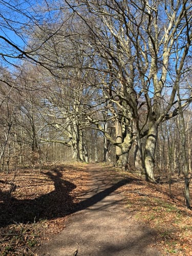 Stocksee und Nehmtener Forst