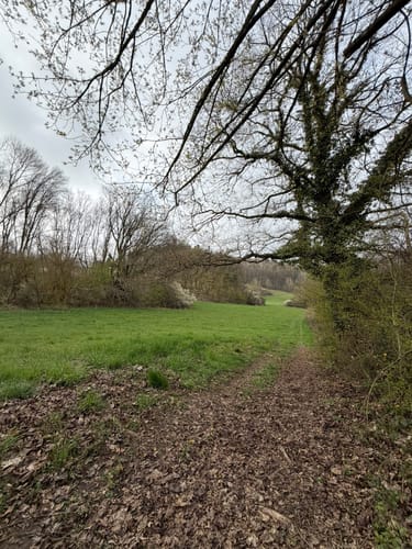 Lahn-Facette Küppeltour (Premiumwanderweg)