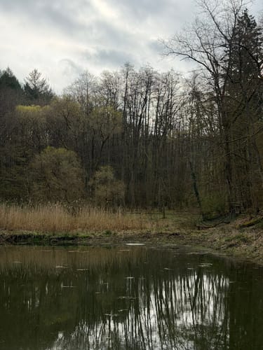 Lahn-Facette Küppeltour (Premiumwanderweg)