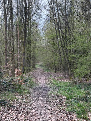 Lahn-Facette Küppeltour (Premiumwanderweg)