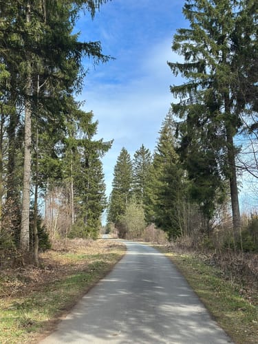 Rundwanderweg Granetalsperre