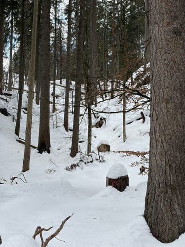 Pflasterbachhörndl - Rabenstein Nord - Rabenstein Süd