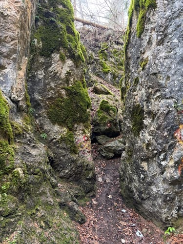 Pflasterbachhörndl - Rabenstein Nord - Rabenstein Süd