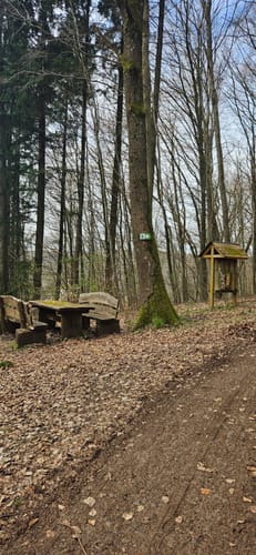 Schmetterling-Rundwanderweg Oberwürzbach