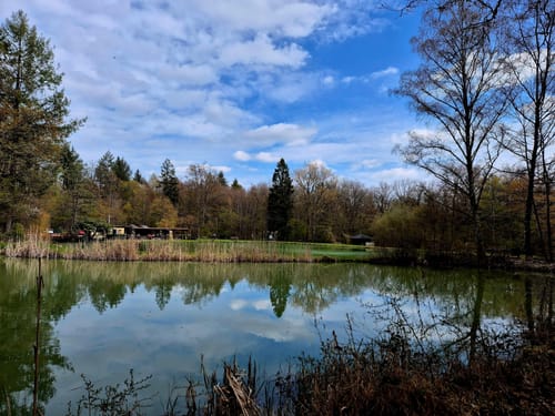 Blies-Grenz-Weg (Premiumwanderweg)