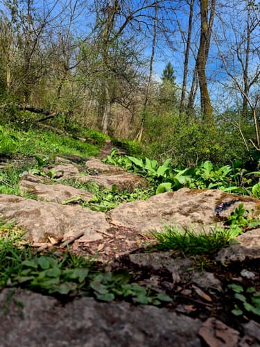 Blies-Grenz-Weg (Premiumwanderweg)