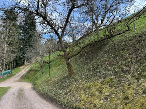 Westweg Etappe 5: Alexanderschanze - Hark