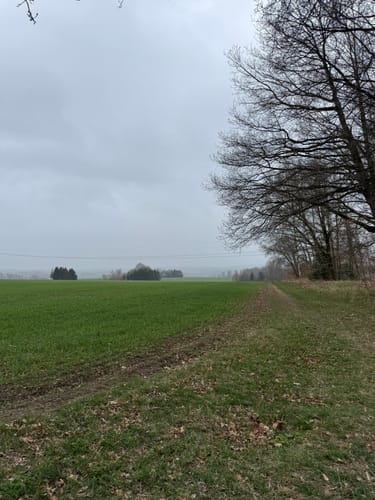 Freiberger Stadtwald