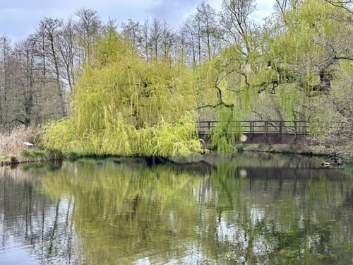 Nette-Seen (Premiumwanderweg)