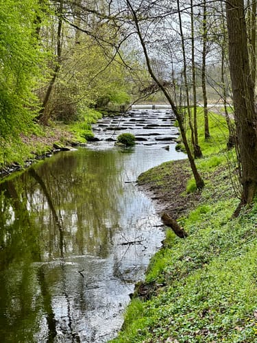 Nette-Seen (Premiumwanderweg)