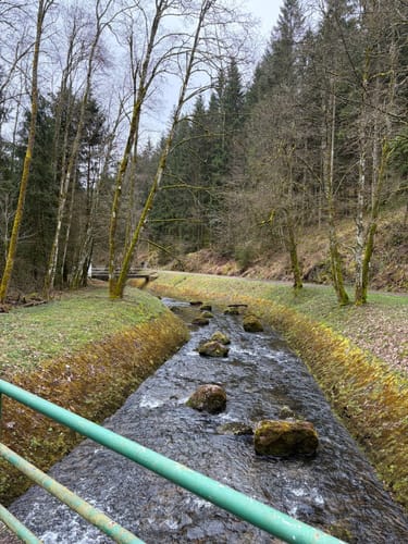 Oleftalsperre Rundweg