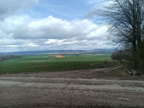 Rhumequelle durch den Rotenberger Wald