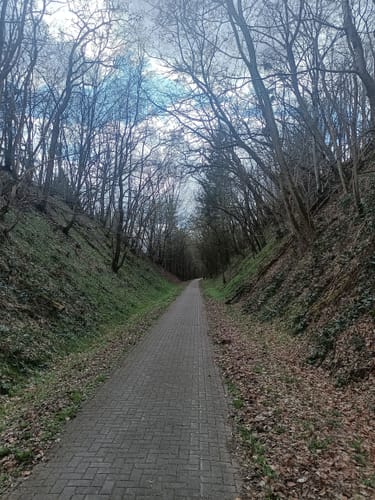 Rhumequelle durch den Rotenberger Wald