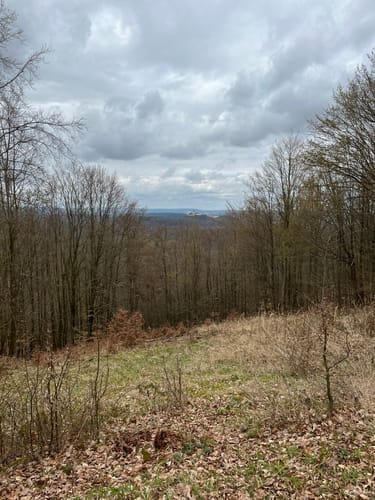 Eisenach - Drachenstein - Hohe Sonne