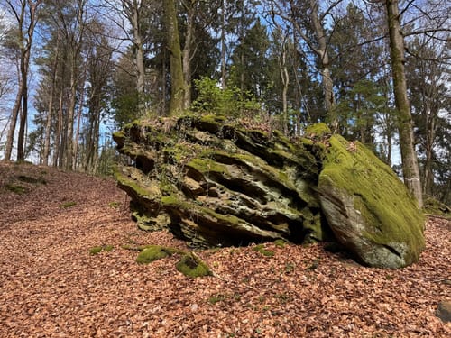 Holsthum - Ferschweiler (Naturpark Südeifel Wanderweg Nr. 58)