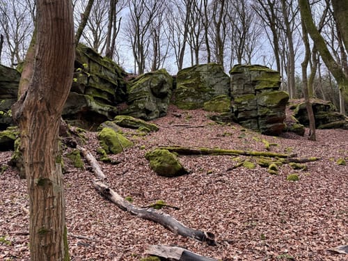 Holsthum - Ferschweiler (Naturpark Südeifel Wanderweg Nr. 58)