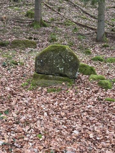 Holsthum - Ferschweiler (Naturpark Südeifel Wanderweg Nr. 58)