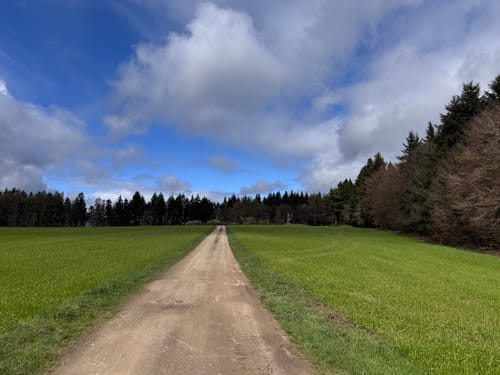 Holsthum - Ferschweiler (Naturpark Südeifel Wanderweg Nr. 58)