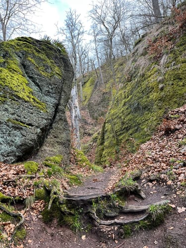 Eisenach - Drachenstein - Hohe Sonne