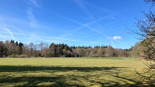 NSG Barneführer Holz und Schreensmoor ab Sandhatten