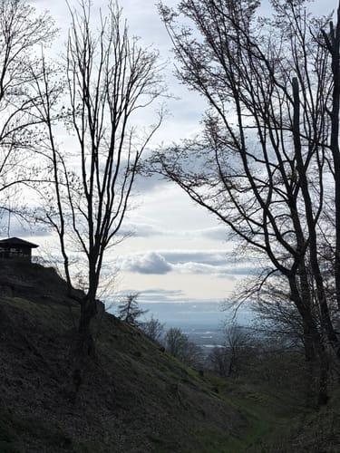 Burgensteig Bergstraße Etappe 1:   Darmstadt-Eberstadt - Seeheim-Jugenheim
