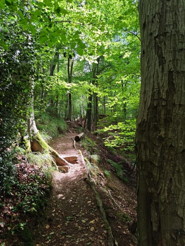 Patensteig