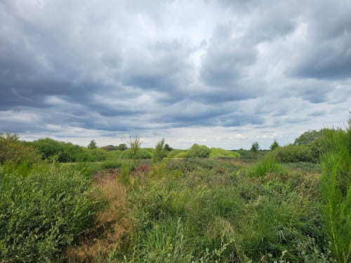 Rund um Brackvenn [CLOSED]