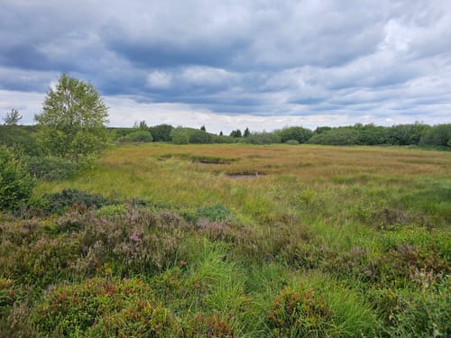 Rund um Brackvenn [CLOSED]