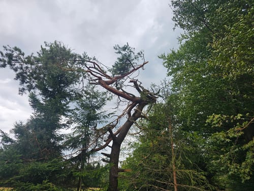 Rund um Brackvenn [CLOSED]