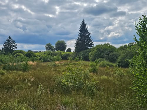 Rund um Brackvenn [CLOSED]