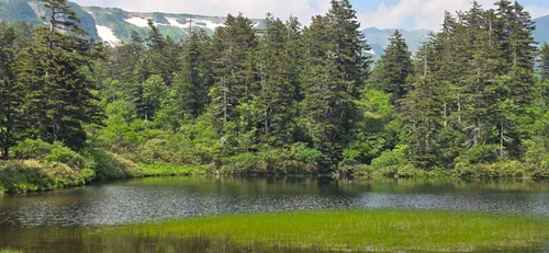 Naga-numa Pond - hikes and trails to get you there | AllTrails