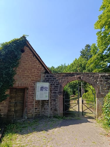 Schloss Hirschhorn und Stöckberg
