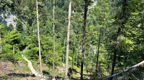 Auf dem Schmugglerweg von Kössen nach Ettenhausen via Klobenstein