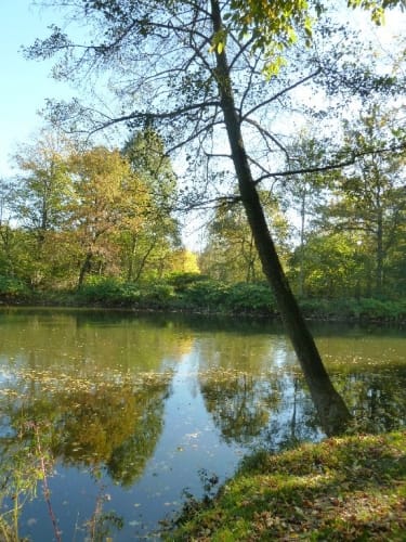 Schönborn - Sachsenburg - Dreiwerden