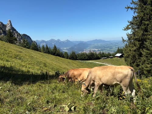 Tegelberg (Abstieg zur Talstation)