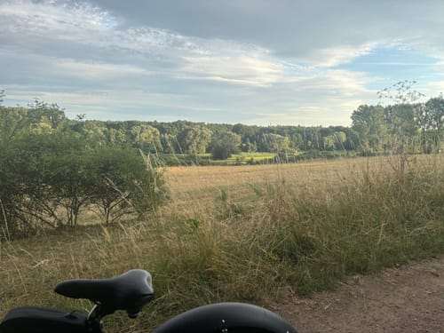 Enkheimer Ried