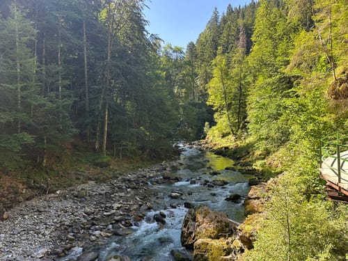 Wege zum Wasser: Wassergewalten in der Breitachklamm