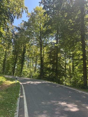 Guckinsland (Premiumwanderweg)