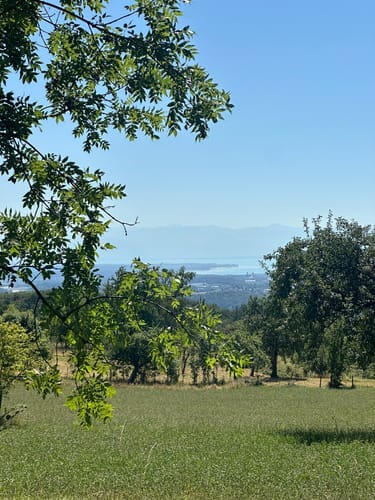Guckinsland (Premiumwanderweg)