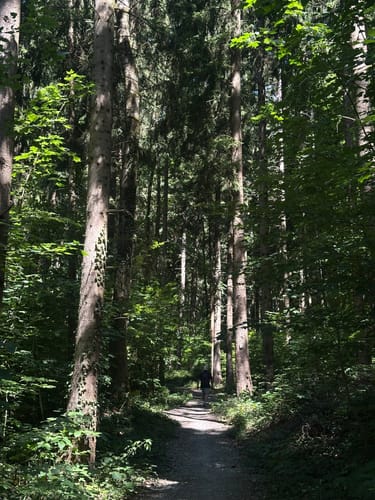 Guckinsland (Premiumwanderweg)