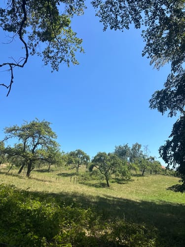 Guckinsland (Premiumwanderweg)
