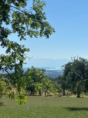Guckinsland (Premiumwanderweg)