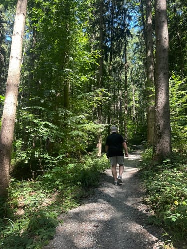 Guckinsland (Premiumwanderweg)
