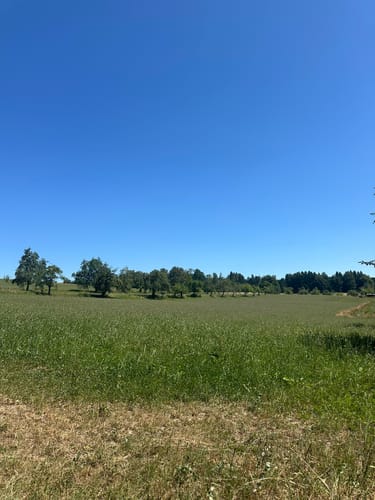 Guckinsland (Premiumwanderweg)