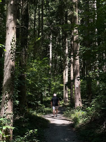 Guckinsland (Premiumwanderweg)